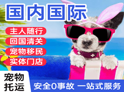 朔州机场快递国际宠物托运 【国